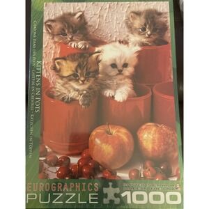 Kittens In Pots 1000 Piece‎ Jigsaw Puzzle by Eurographics NIP NIB